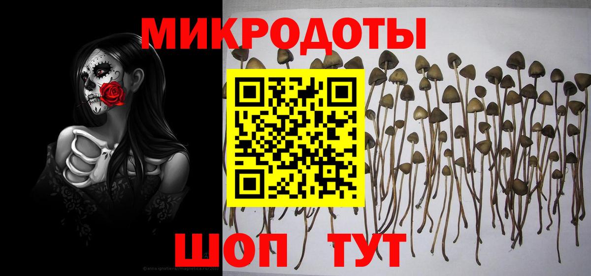 Дивногорск  Псилоцибиновые грибы мухоморы  Вход с VPN  Галлюциногенные грибы Psilocybine cubensis 